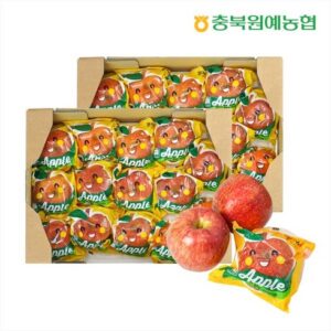 주목해야 할 기획전 2023 데일리 세척사과 부사 6kg_총 24250g 실시간 인기