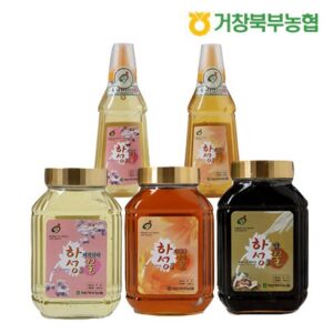 득템 찬스 맛있는家 거창북부농협 하성 1등급 햇 벌꿀 아카시아 500g x 5병 당일출고