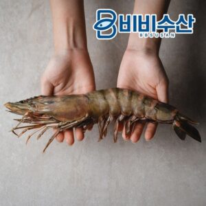 나만의 취향 박정수 올바른가 블랙타이거새우 100미감바스 소스 특별한 혜택으로 만나보세요