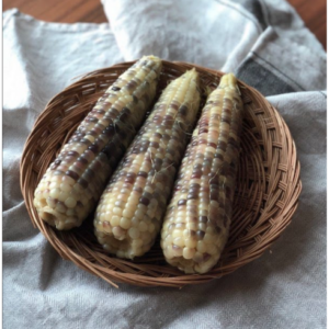 일상을 변화시키는 강원도 명물 냉동 찰옥수수 24개  당일출고