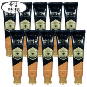 단 하루 골든프로폴리스 플러스 치약 18개기프트백골드트레이 스페셜 기프트