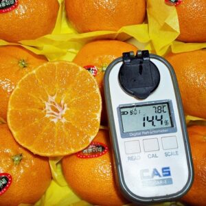 주목해야 할 기획전 귤로장생 제주 레드향 3.5kg1박스 스페셜 기프트