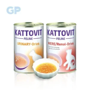 단독 비밀가 행사 대명 아임레디 THE 행복한 플랜 스페셜 혜택