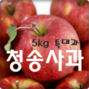 고객님이 많이 찾는 애플진 햇 보조개사과 5kg1박스_부사 혜택 알고가기