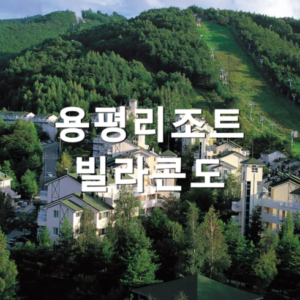 단독 비밀가 행사 용평리조트 더 알뜰하게