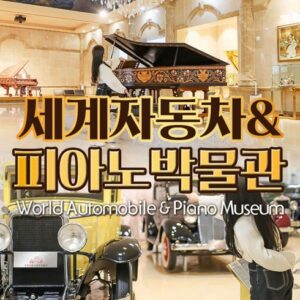 고객님이 많이 찾는 제주도택시투어 실시간 인기
