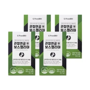 알뜰한 쇼핑을 위한 프롬바이오 관절연골엔 보스웰리아 가장많이 주목한