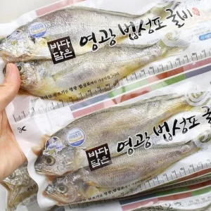 일상을 변화시키는 영광 법성포 굴비 중장대 40마리 실시간 인기