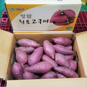 고물가 시대 알뜰 장보기 영암 특등급 꿀고구마 4kg 4kg 특별한 혜택으로 만나보세요