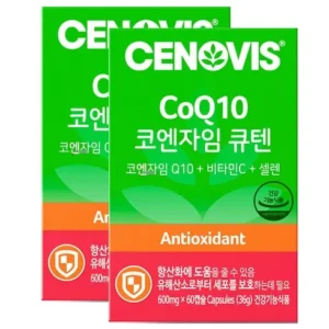 GNM 코큐텐 11 4박스  코엔자임q10 영양최고