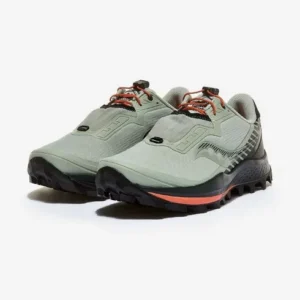 아직 늦지 않았다 페레그린11 인기있는 이유는 다 있다