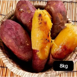득템 찬스 해남 황토 꿀고구마 8kg 꾸준한 인기비결은?