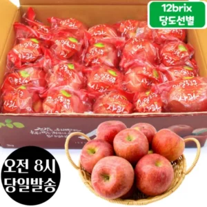 이번 주 특별한 프로모션 사과 5.4kg 중과 미시마 청송 세척사과 당일출고