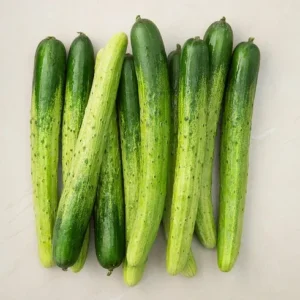 이달의 혜택 ON 야채 스페셜 기프트