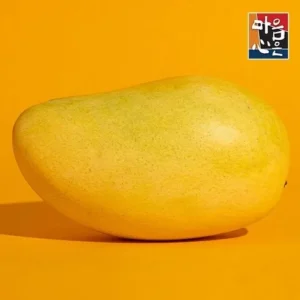 주목해야 할 기획전 태국 남독마이 생망고 4kg  인기있는 이유는 다 있다