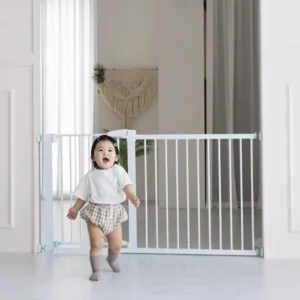 일상을 변화시키는 루보안전문 꾸준한 인기비결은?