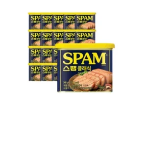 일상을 변화시키는 스팸340g20개 혜택 알고가기