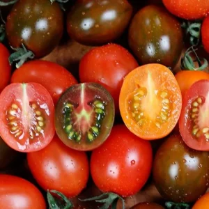 고물가 시대 알뜰 장보기 오색 칵테일 토마토 5kg 당일출고