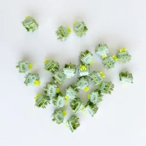 아직 늦지 않았다 오테뮤크림옐로우 꾸준히 상위 랭킹에 있는 이유?