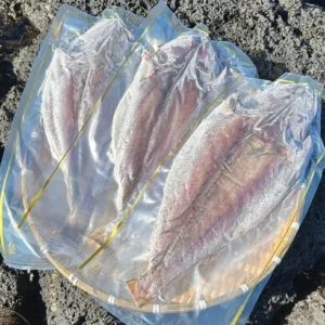 특별 할인 자연산반건조민어 인기템