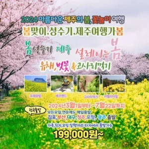 왜 인기 있는지 알아? 제주도 3박 4일 패키지 꾸준한 인기
