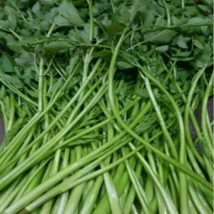 사랑하는 이에게 중독언니네 굿템