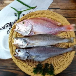 이벤트 특가 최쇼 특별 구성 꾸준히 상위 랭킹에 있는 이유?