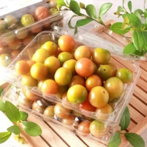 지금 바로 구매하자 다니 스테비아 방울토마토 2kg  굿템