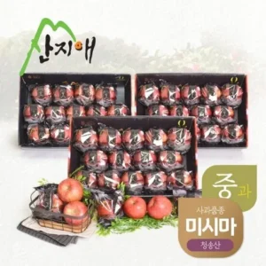 기념일에 산지애 사과 9kg  혜택이 가득