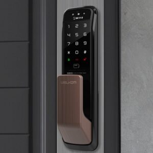 감사한 마음으로 준비한 요즘 대세인 ​얼굴인식도어락 완벽한 스팩은 어디까지일까요? 상세히 리뷰 해보겠습니다. NO.1