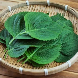 특가를 잡아라 꼭 갖고싶은 ​gap인증농협선별추부깻잎1kg 제가 소개해 드립니다 인기순위