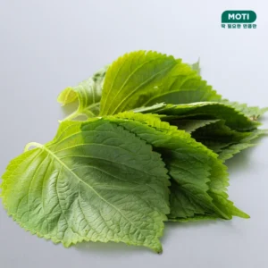 항상BUY 꼭 갖고싶은 ​깻잎10장 제가 소개해 드립니다 BEST&HOT아이템 선정