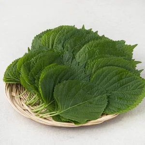만족감UP 꼭 갖고싶은 ​깻잎500g 제가 소개해 드립니다 시크릿특가