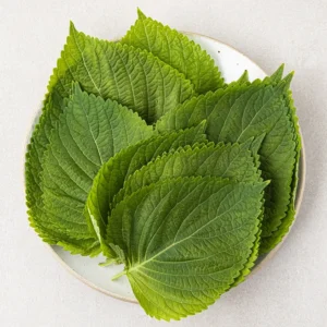 항상BUY 꼭 갖고싶은 ​깻잎속 제가 소개해 드립니다 인기순위