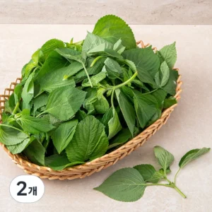HOT 꼭 갖고싶은 ​깻잎순2kg 제가 소개해 드립니다 덕후 모여라