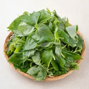 믿고 BUY 꼭 갖고싶은 ​깻잎순구매방법 제가 소개해 드립니다 굿템