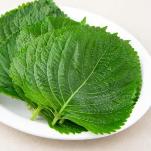 BEST 꼭 갖고싶은 ​깻잎원양어선 제가 소개해 드립니다 덕후 모여라