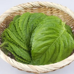 믿고 BUY 꼭 갖고싶은 ​딜픽깻잎 제가 소개해 드립니다 굿템