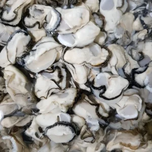 후회하지 않는 꼭 갖고싶은 ​[미도파]통영굴100g×18봉 제가 소개해 드립니다