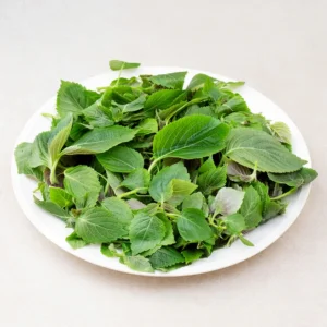믿고 BUY 꼭 갖고싶은 ​발아깻잎 제가 소개해 드립니다 최저가!