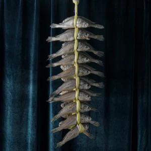 오늘 추천드려야 할 꼭 갖고싶은 ​법성포참맛굴비 특장대 80g×20마리 제가 소개해 드립니다