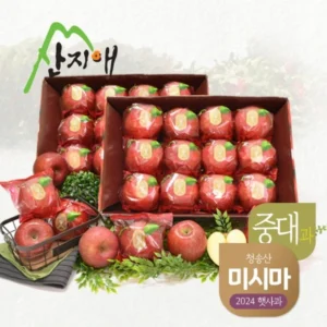 꿀팁이라고? 꼭 갖고싶은 ​산지애 홍로 사과 제가 소개해 드립니다