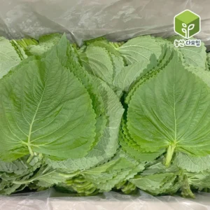 BEST 꼭 갖고싶은 ​찹찹이1kg 제가 소개해 드립니다 월간인기