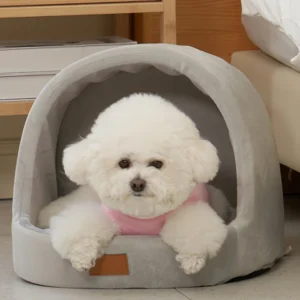 이제 뜸! 꼭 갖고싶은 ​강아지집 제가 소개해 드립니다 군말없이 소개합니다