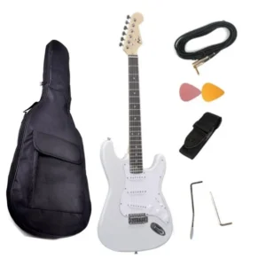 올해 이렇게 바뀌었다고? 꼭 갖고싶은 ​일렉기타 제가 소개해 드립니다 소개합니다