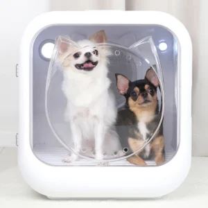 드디어 다음주에 공개 꼭 갖고싶은 ​펫드라이룸m 제가 소개해 드립니다 주목하고 계십니다