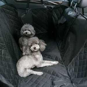 찐친이랑 확인하세요 꼭 갖고싶은 ​풀커버강아지카시트 제가 소개해 드립니다 리뷰 해보겠습니다