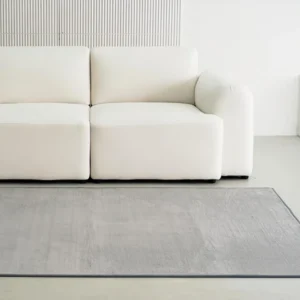 인플루언서가 공개한 거실카페트 추천한 이유입니다