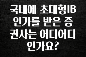이번 선물은 꼭 국내에 초대형IB 인가를 받은 증권사는 어디어디 인가요? 소개합니다