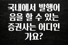 인플루언서가 공개한 국내에서 발행어음을 할 수 있는 증권사는 어디인가요? 최신정보